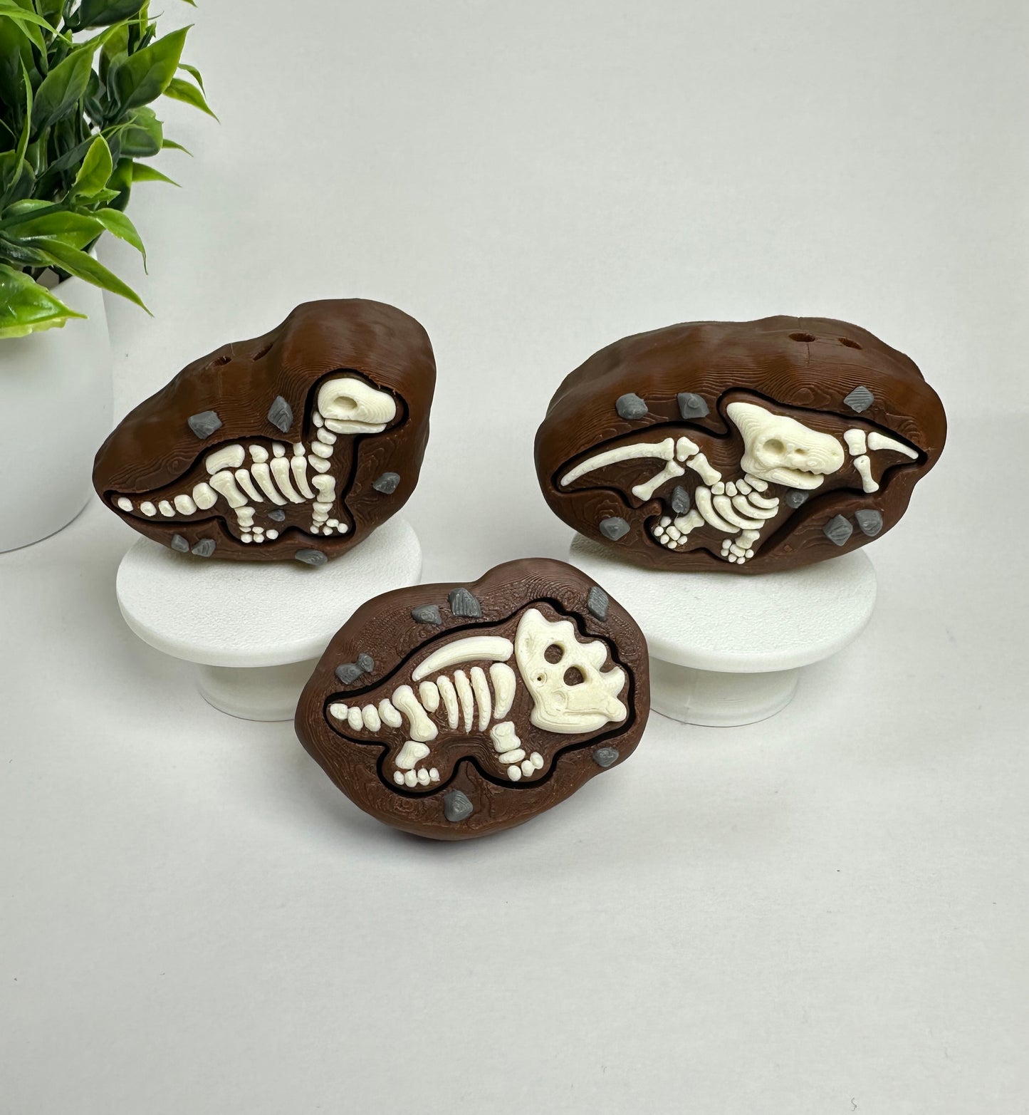 Dinosaur Fossil Fidget Clicker Keychain